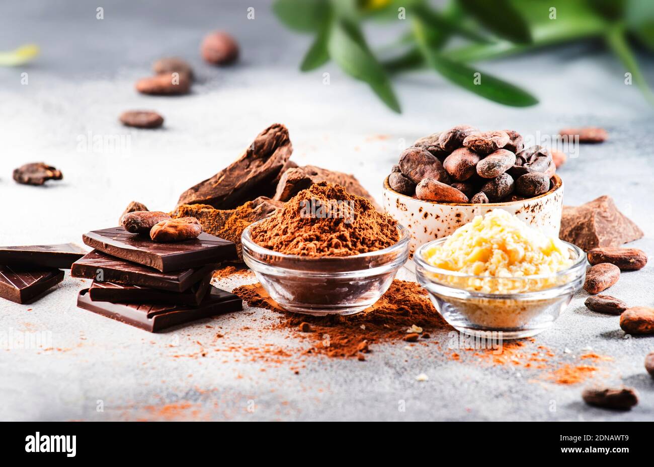 Organic cocoa butter, cocoa beans, grated cocoa lump, dark chocolate on