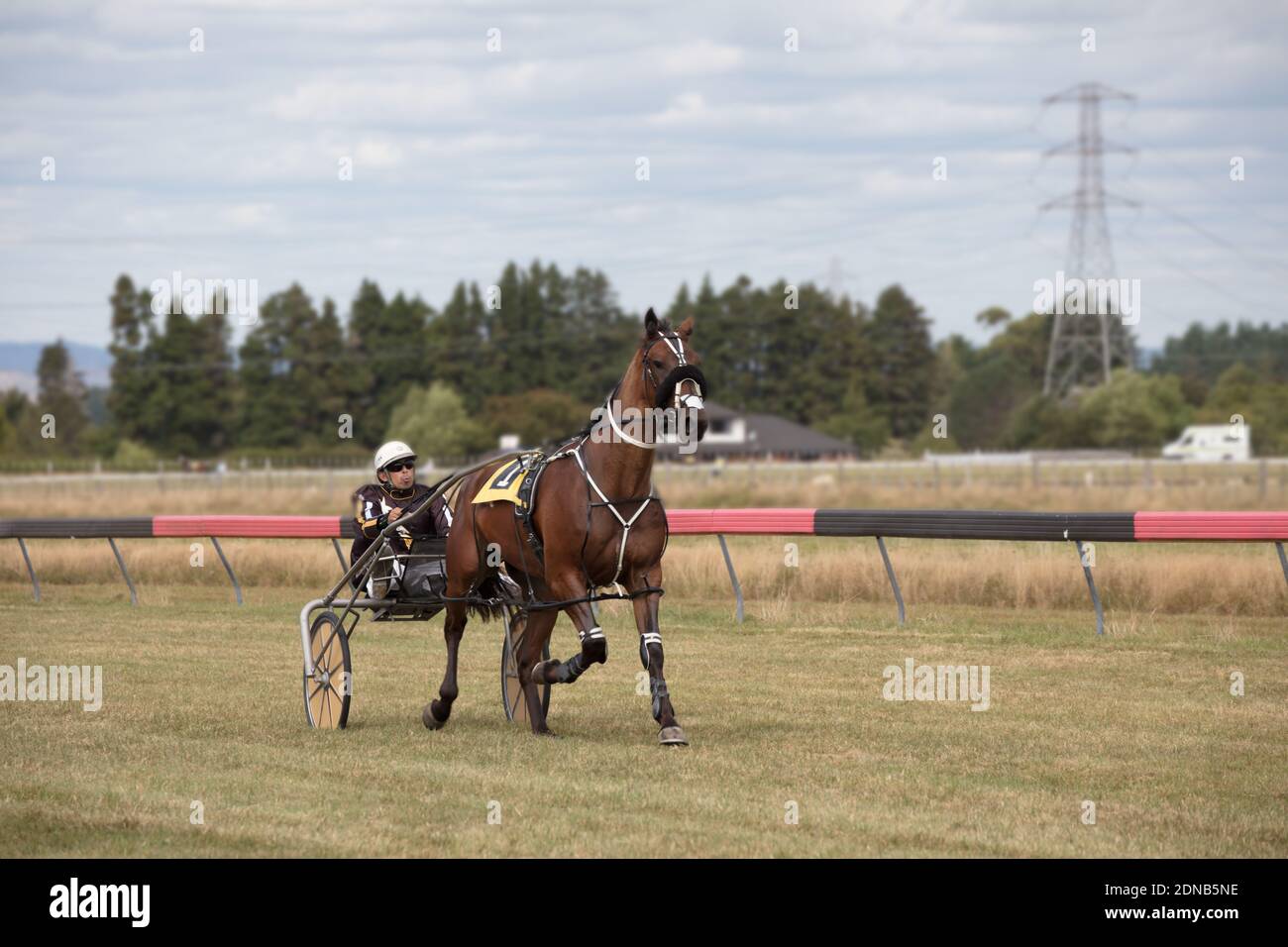 Horse Racing Trots and Harness Racing Stock Photo - Alamy