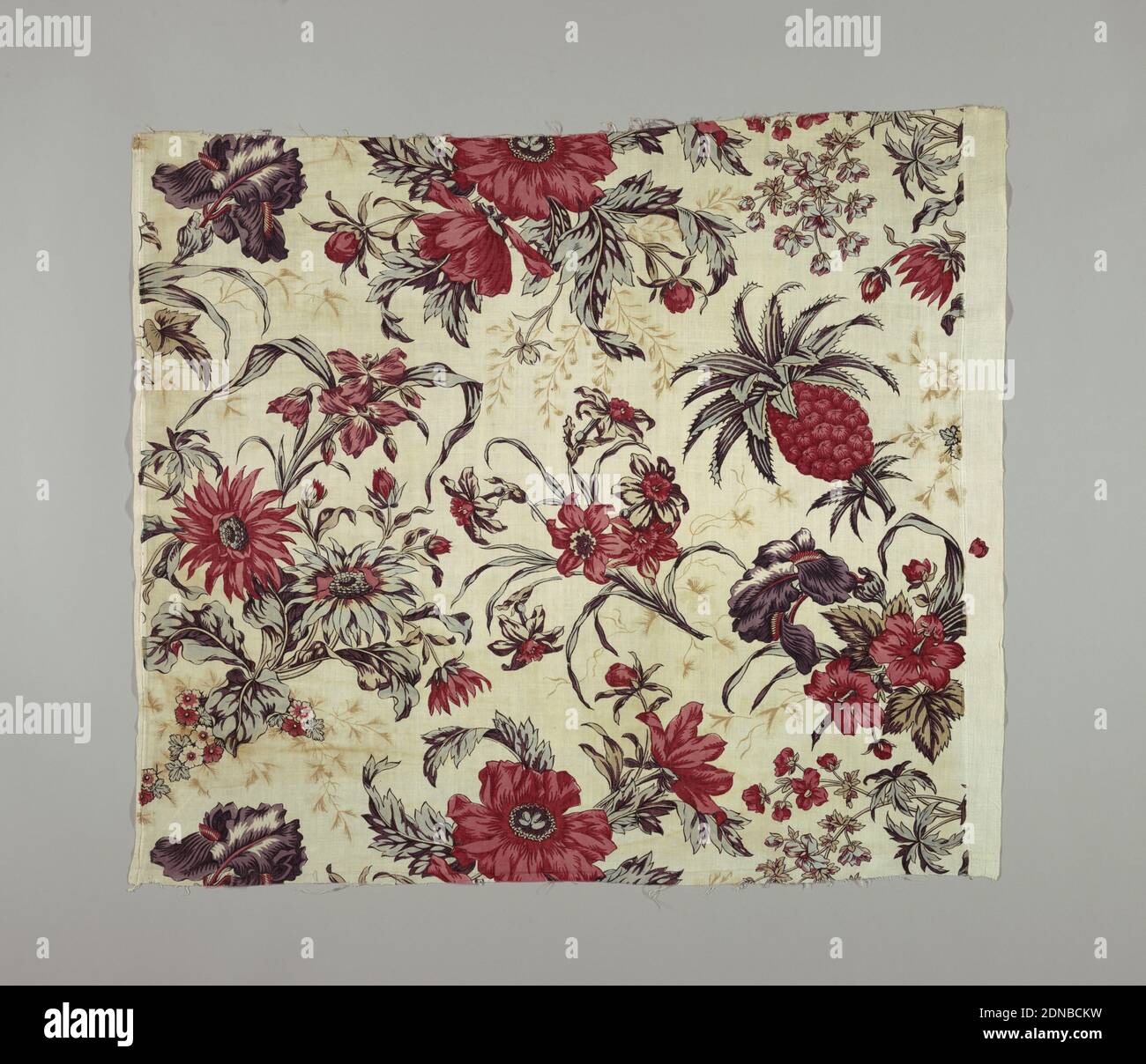 Textile, Medium: cotton Technique: relief printed, Cream white cotton, block printed in large scale naturalistic flower design in all-over clusters; iris, lily, amaryllis, daffodil and pineapple. Shades of red, dark purple, brown, blue; remains of yellow, now faded, show in sections of leaves, indicating combining of yellow over blue for green. A background printing of fine small scale foliage, in shadow effect, light brown., France, 18th century, printed, dyed & painted textiles, Textile Stock Photo