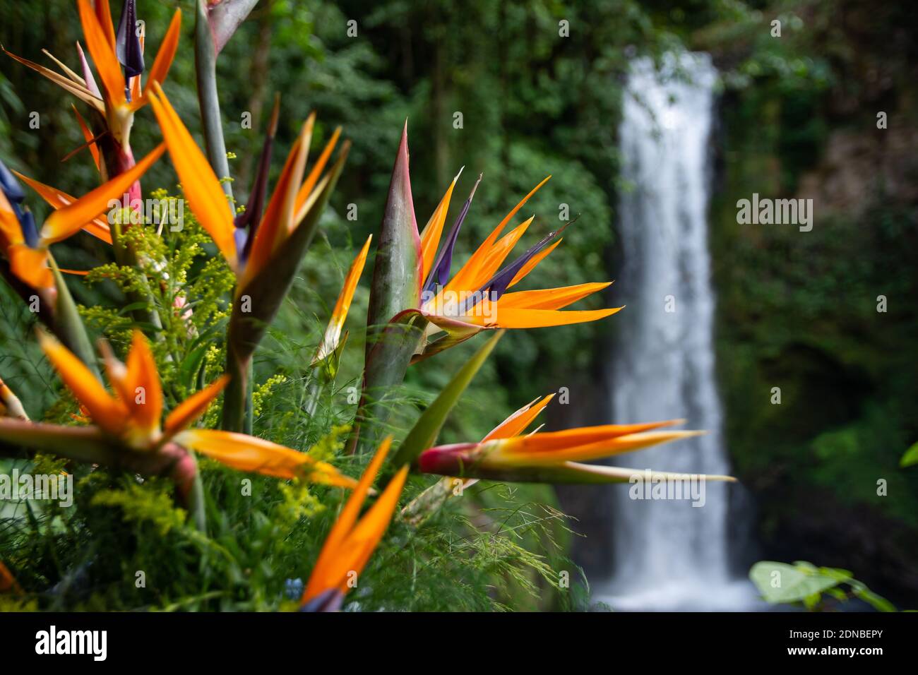 Gallery image with a fresh perspective