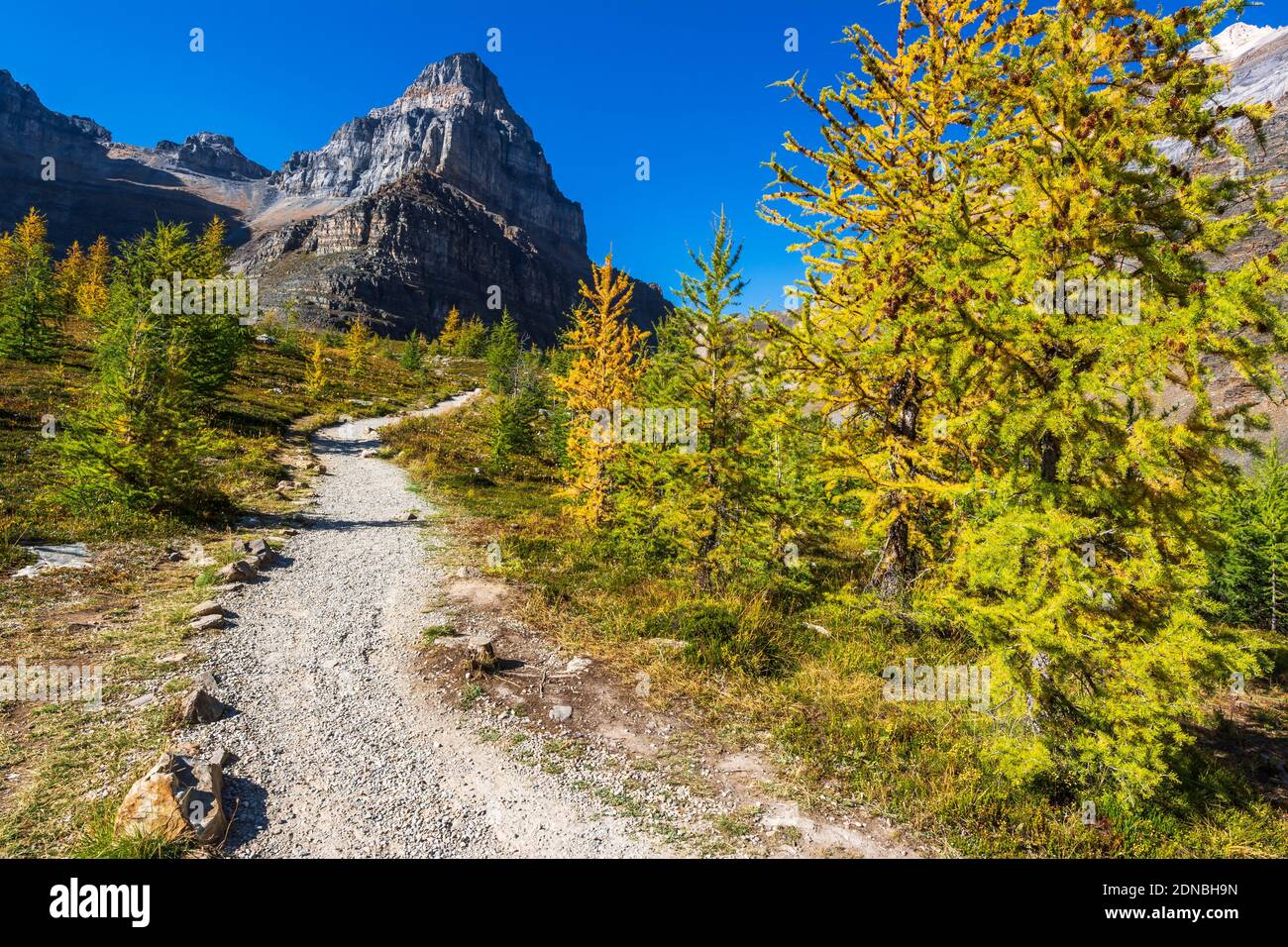 Sentinel Pass Sentinel pass trail hi-res stock photography and images - Alamy