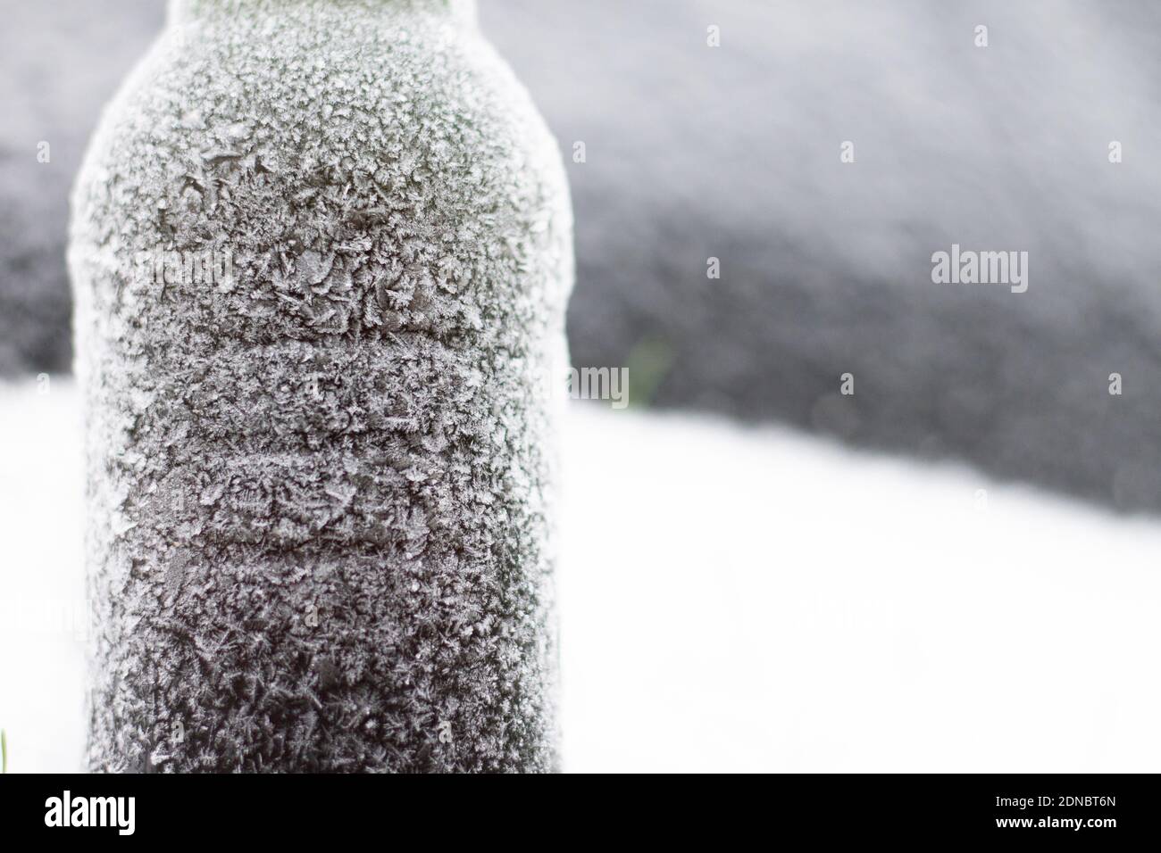 Partially blurred bottle of beer covered with hoarfrost in snow on dark background, copy space Stock Photo