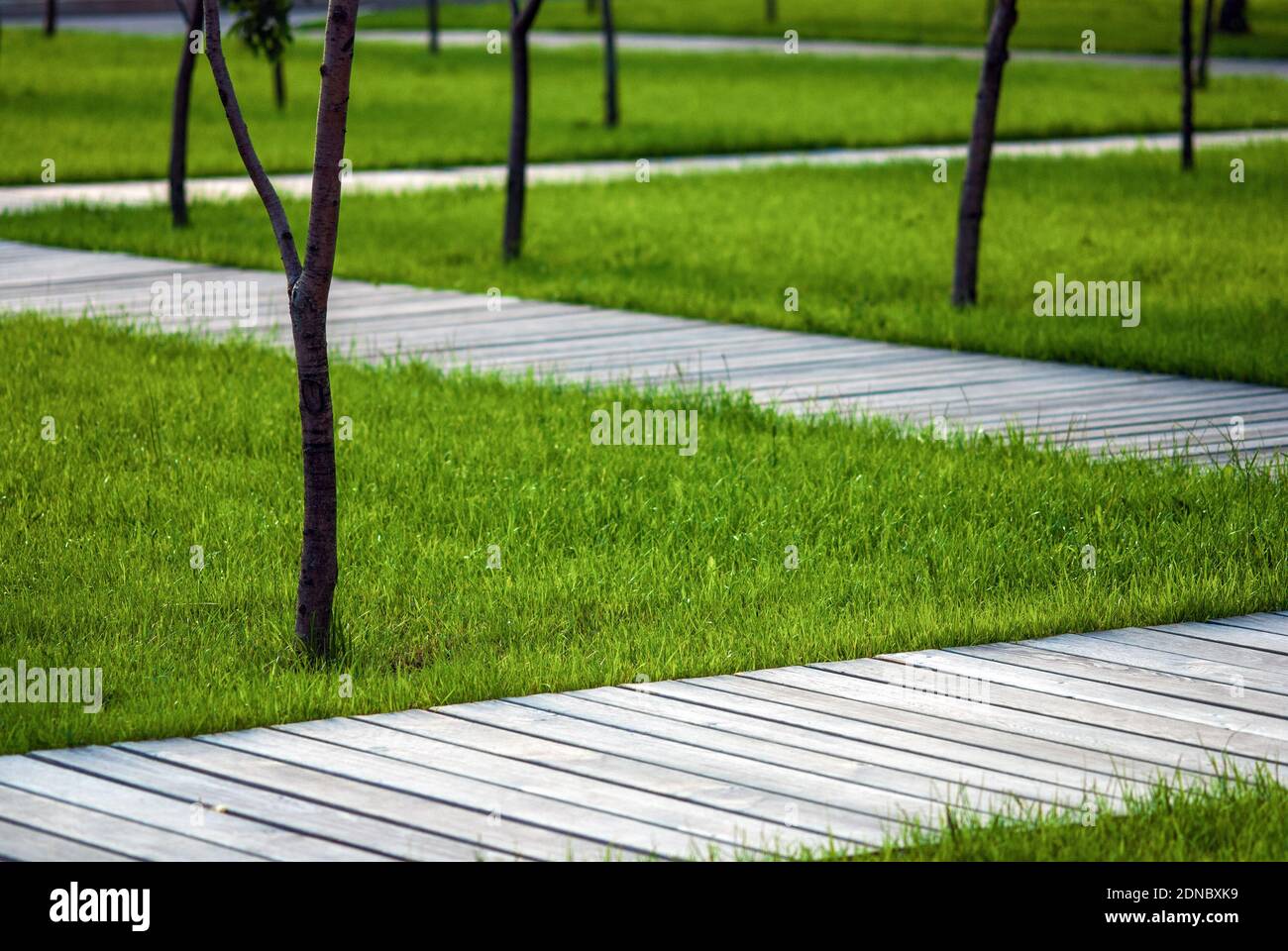 Wooden walkways in summer garden among trees and green grass Stock ...