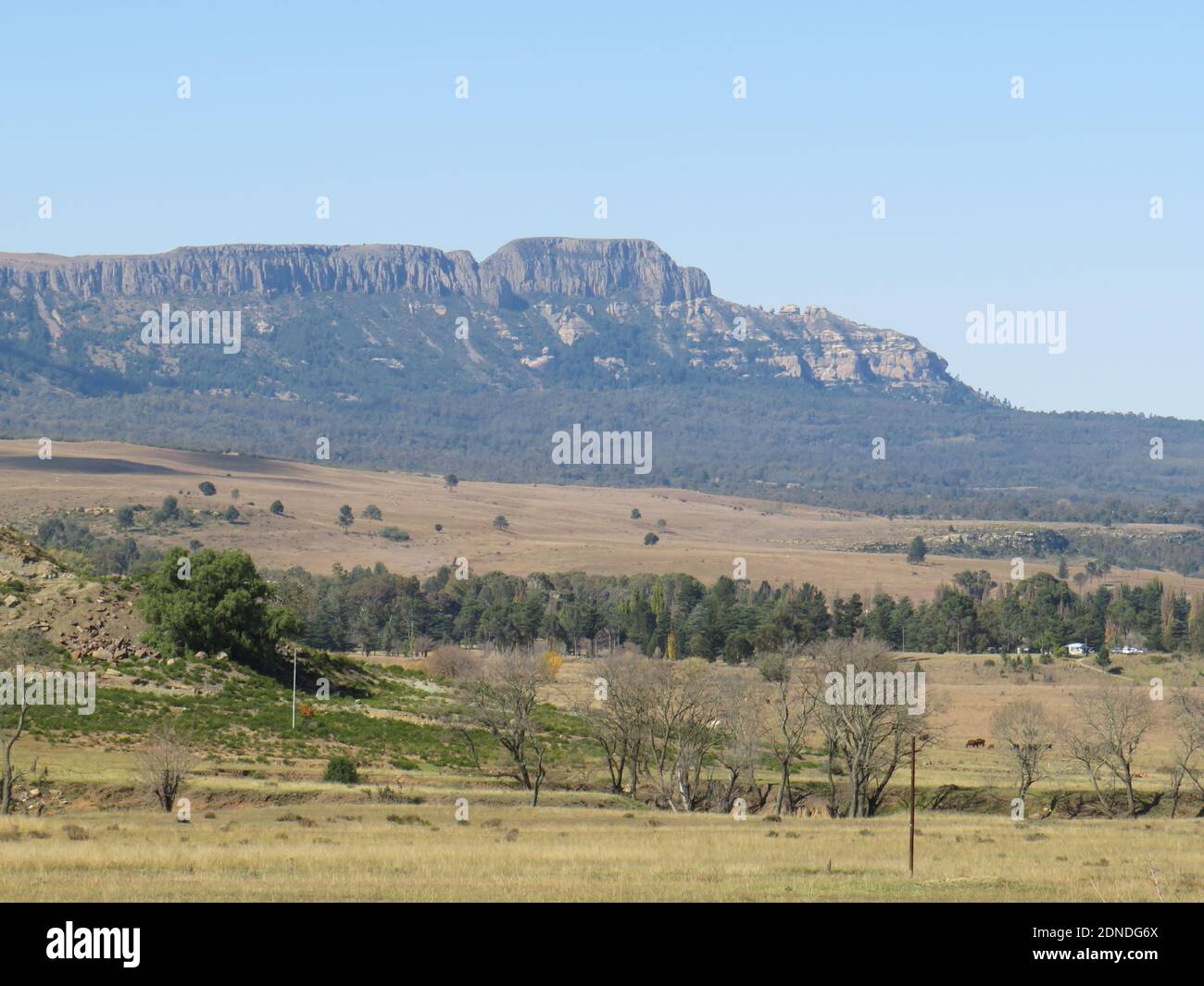From durban hires stock photography and images Alamy