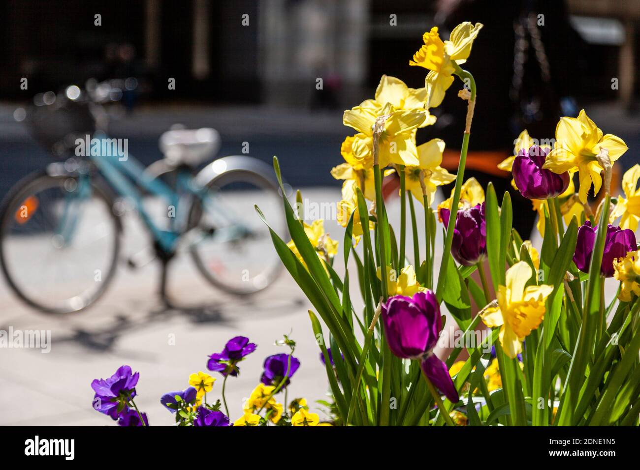 City scene with flowers in a planter with a bicycle parked in the Background. Stock Photo