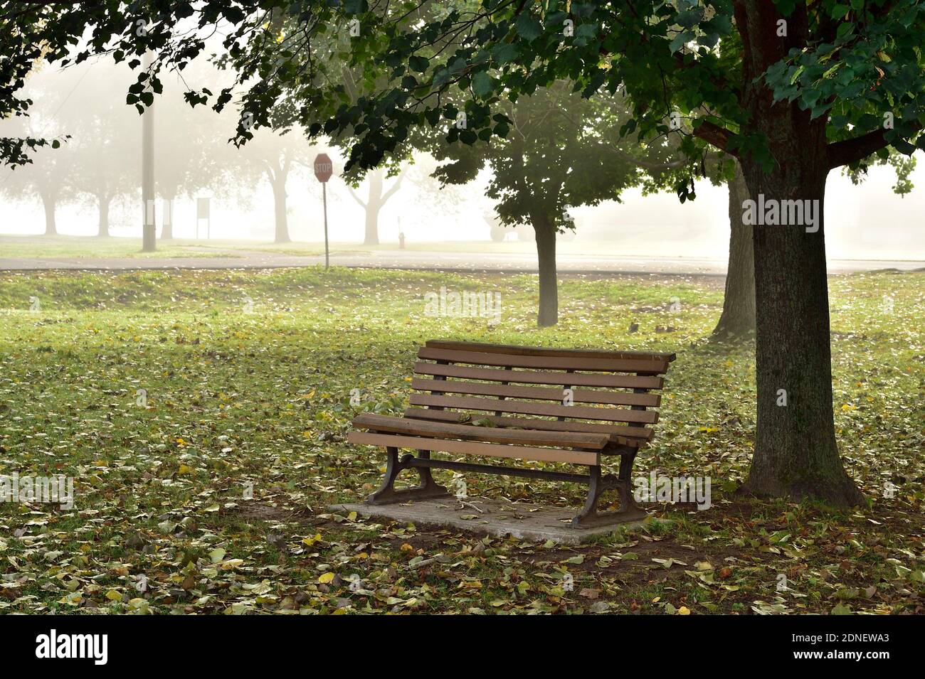 Empty park bench hi-res stock photography and images - Alamy