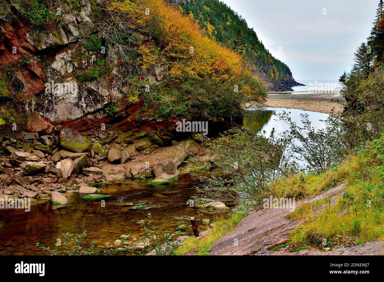 File:Point Wolfe Dam - Fundy National Park.jpg - Wikipedia