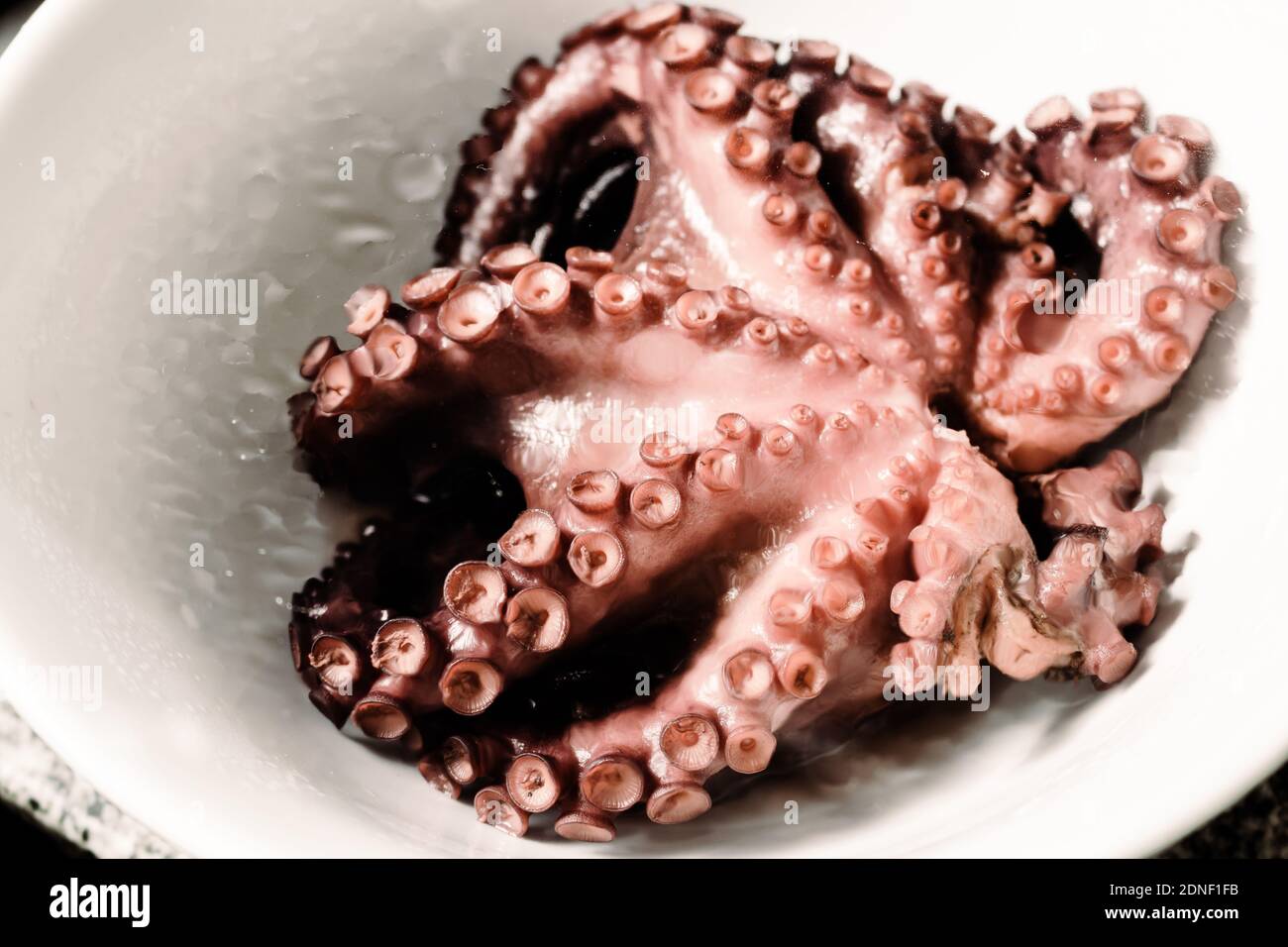 Fresh Cooked Octopus Tentacle Close Up Stock Photo - Image of