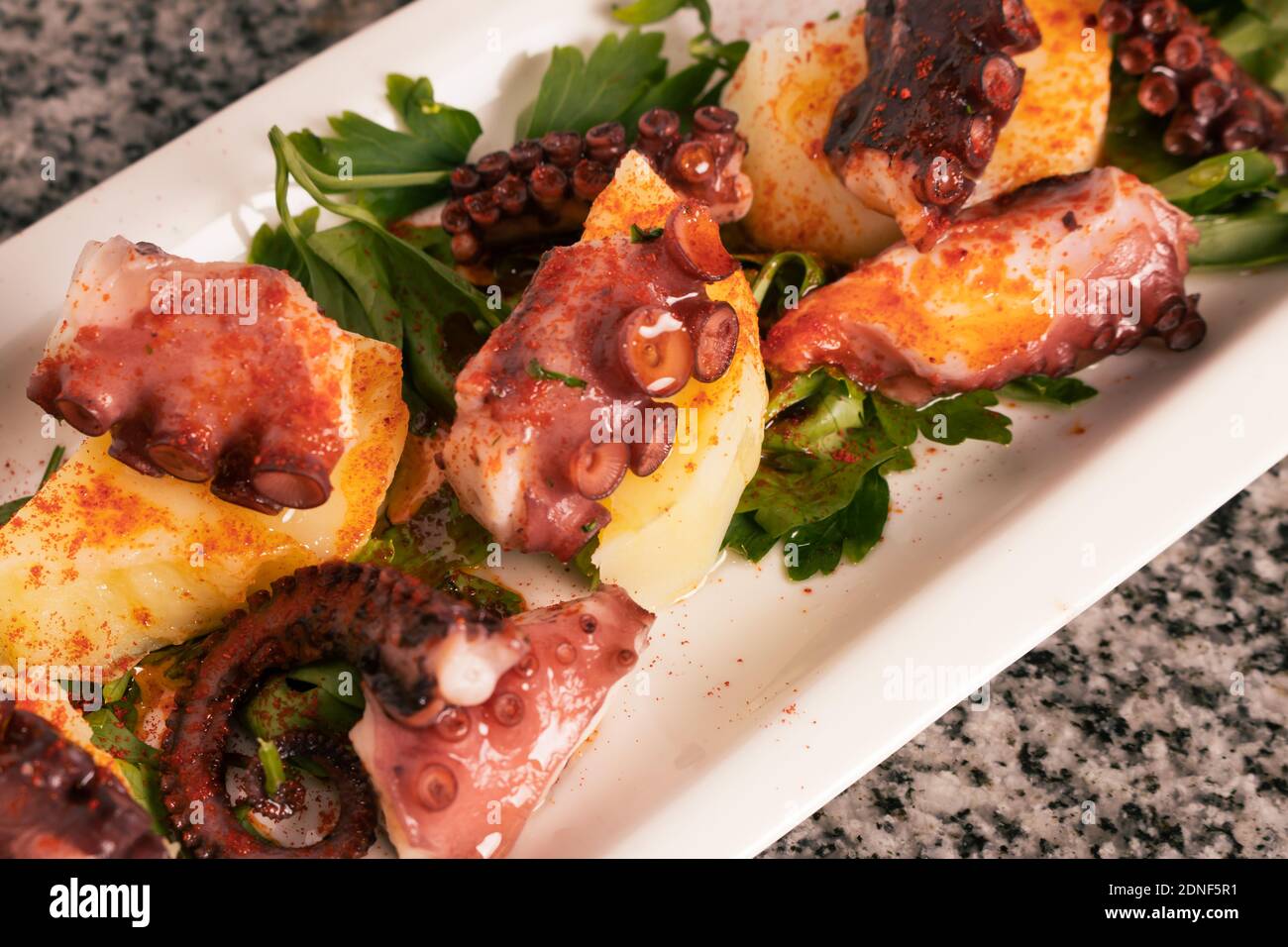 Elongated tray with Galician Octopus, with potatoes, paprika, olive oil on a rustic granite background. Spanish ethnic cuisine concept. Stock Photo