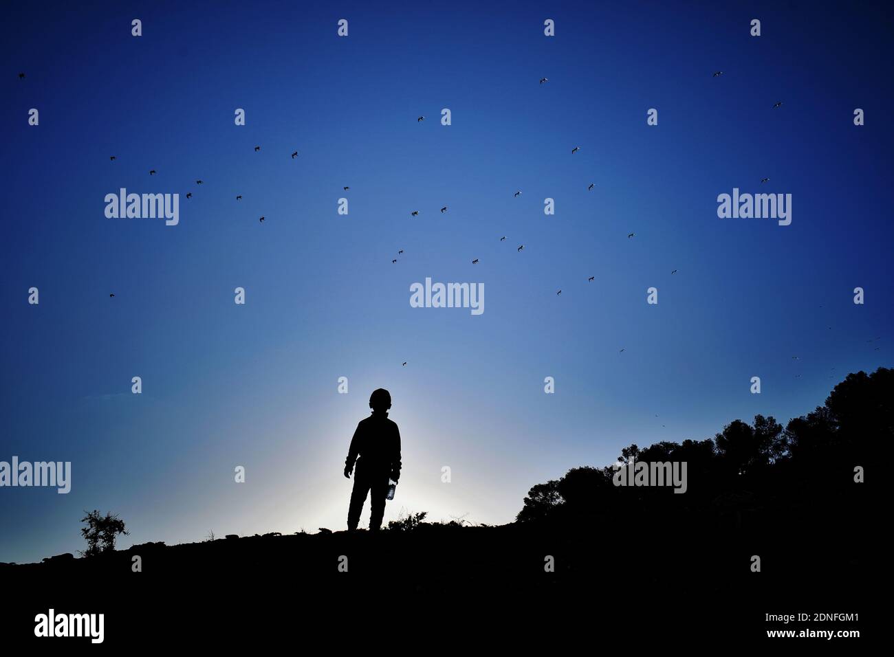 Silhouette Man Standing By Birds Against Blue Sky Stock Photo