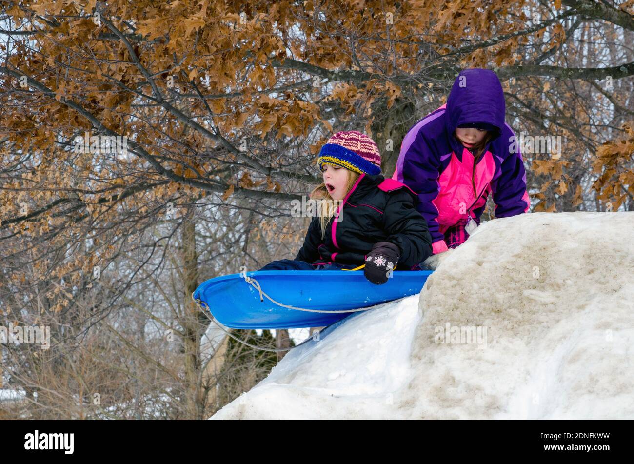 Slide prepare hires stock photography and images Alamy