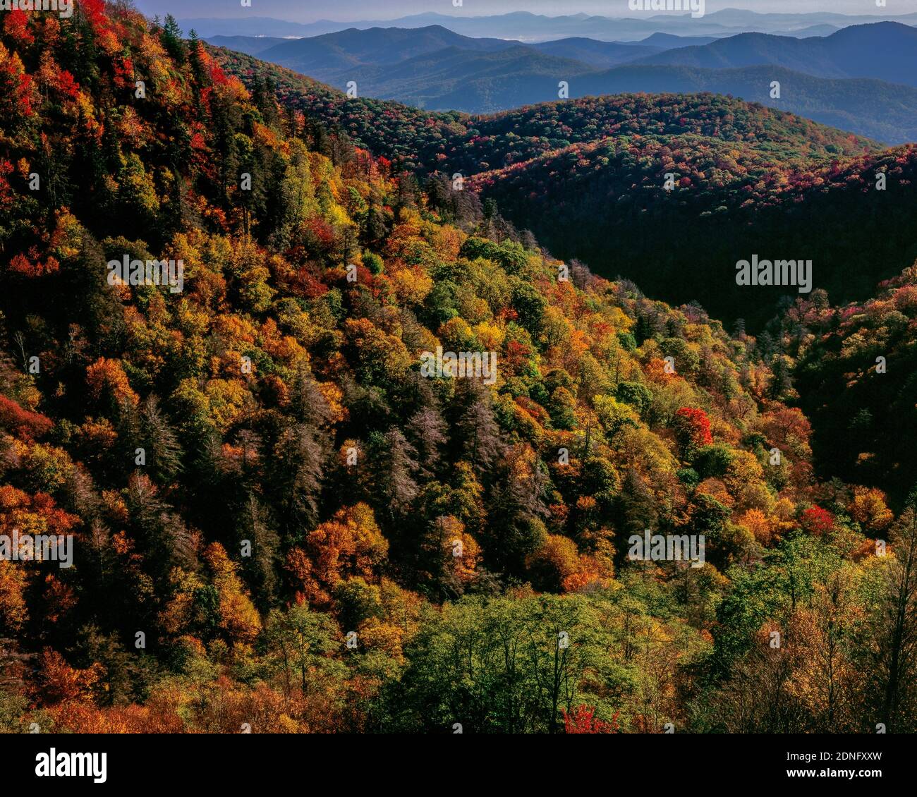 Autumn Color, East Fork, Pigeon River Overlook, Blue Ridge Parkway, Pisgah National Forest, North Carolina Stock Photo