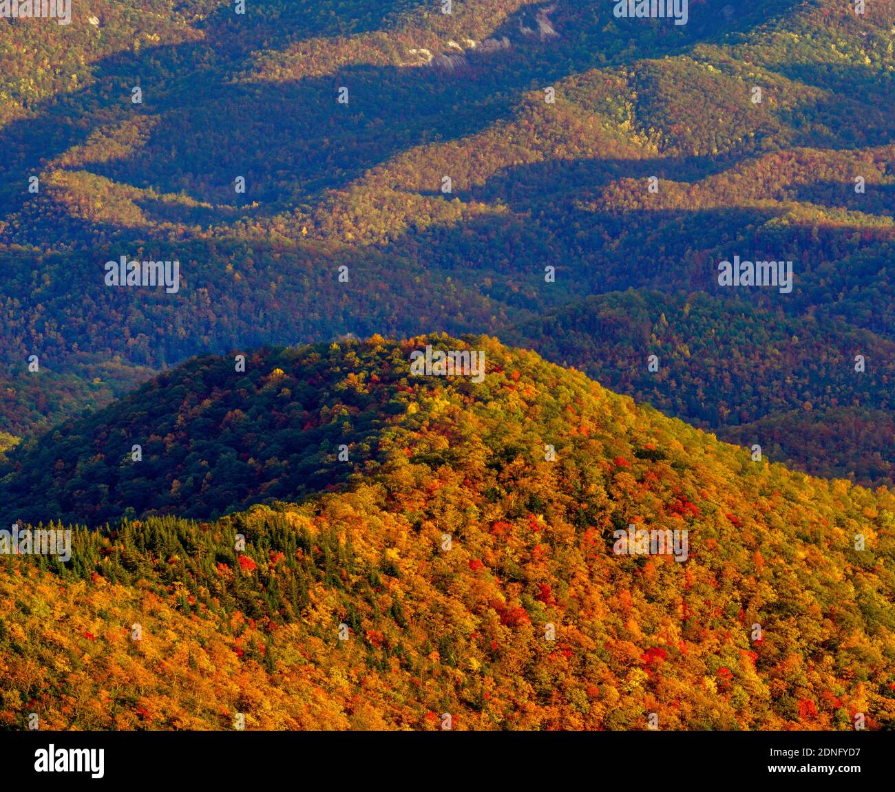 Autumn Color, John Rock Overlook, Blue Ridge Parkway, Pisgah National