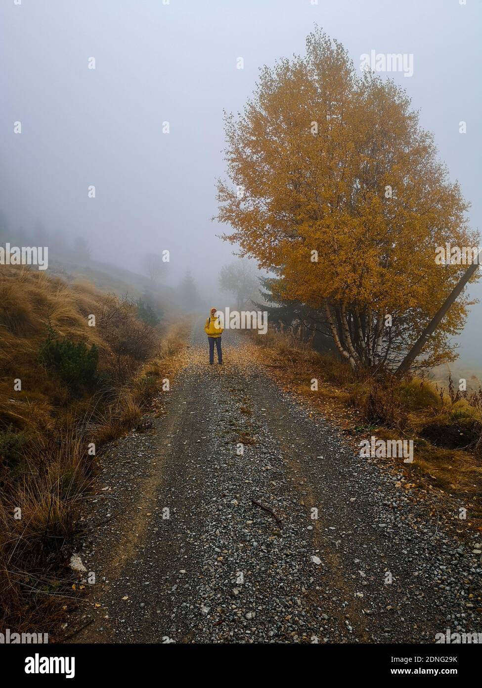 Man walking on winding road hi-res stock photography and images - Alamy