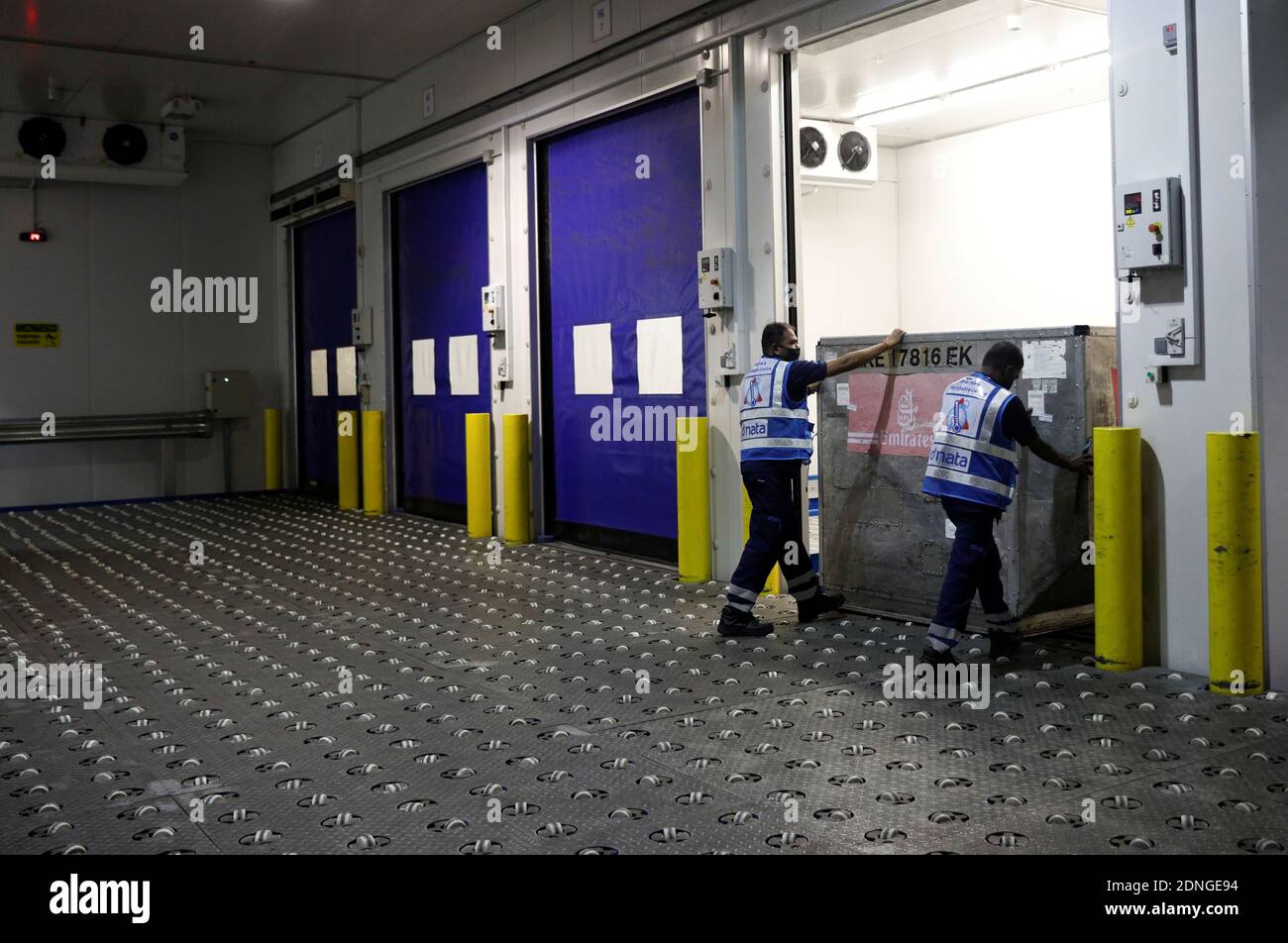 Ground handlers push a cargo box into a cold storage room at dnata's cool chain facility in Singapore December 17, 2020. Picture taken December 17, 2020. REUTERS/Edgar Su Stock Photo