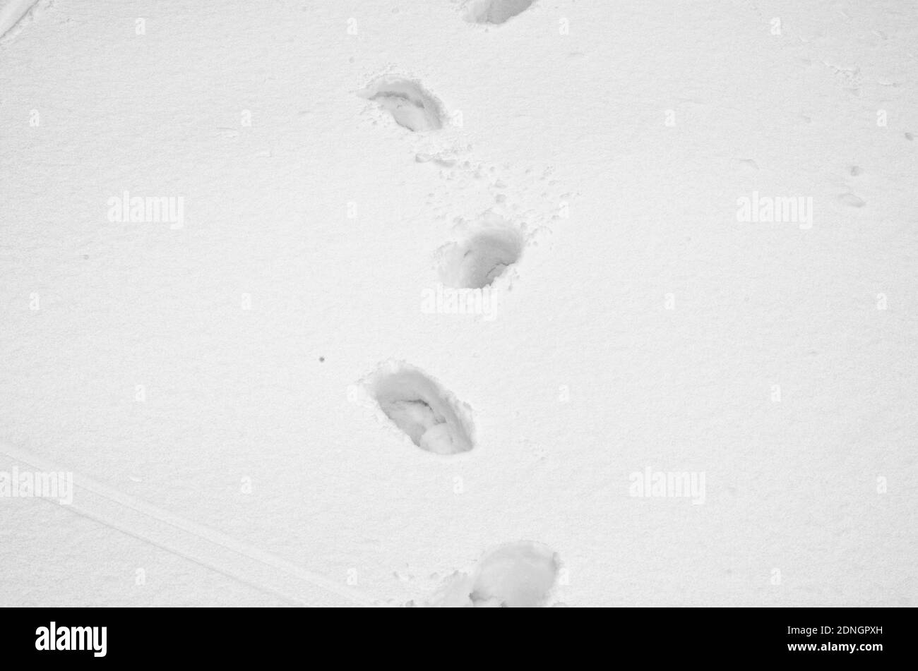 Human traces snow landscape hi-res stock photography and images - Alamy
