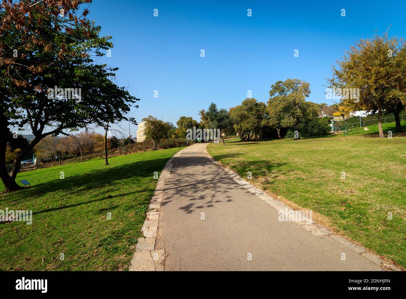 Wohl Rose Park (Hebrew: Gan HaVradim) in Givat Ram, Jerusalem, Israel Stock Photo