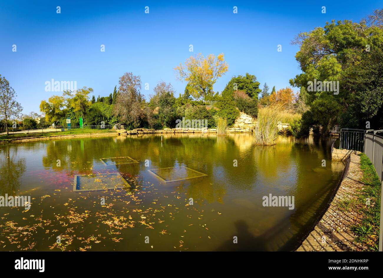 Panoramic image of the artificial lake in the middle of The Wohl Rose Park (Hebrew: Gan HaVradim) in Givat Ram, Jerusalem, Israel Stock Photo