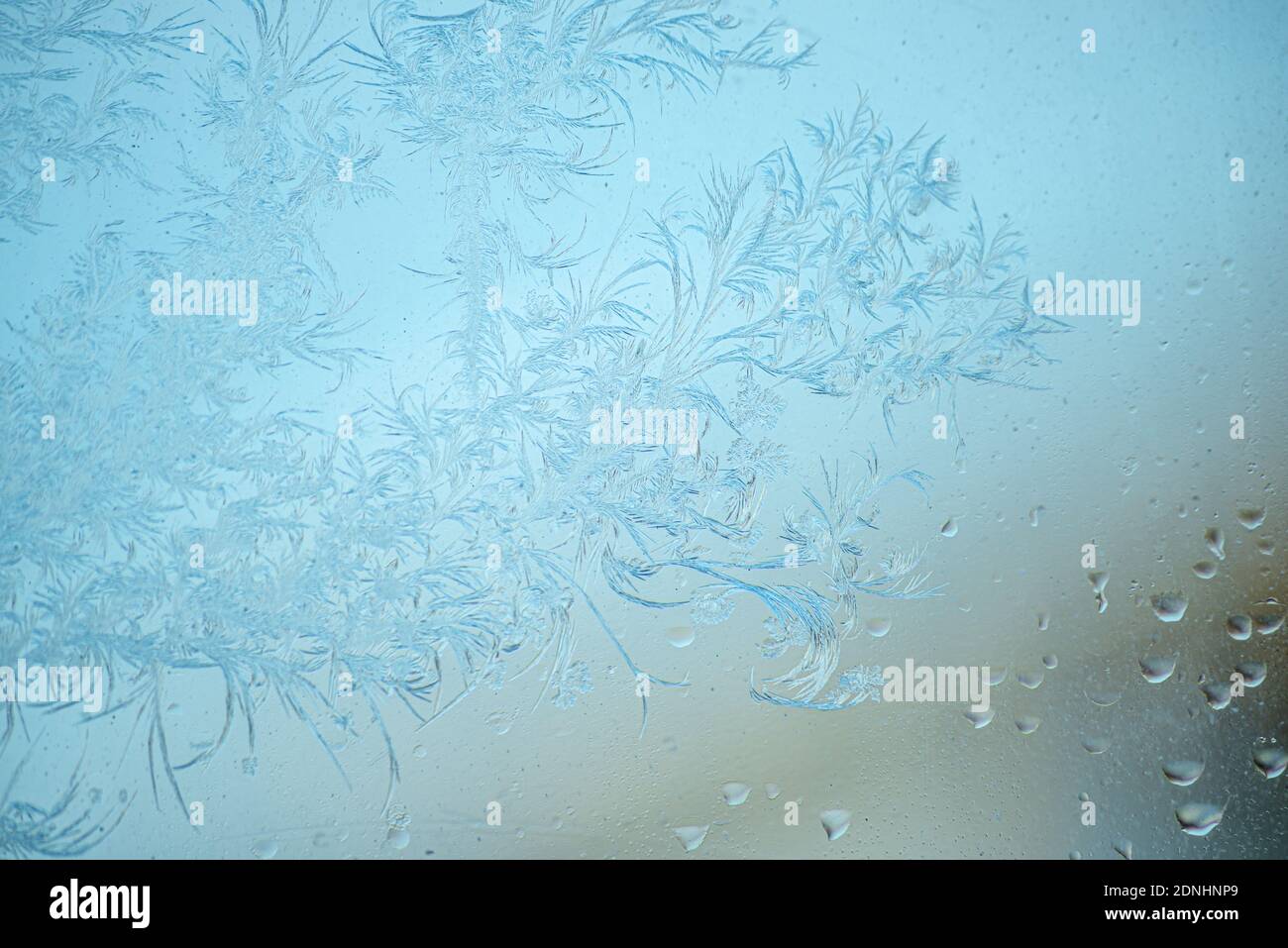 Beautiful sparkling natural frost pattern on the blue window glass ...