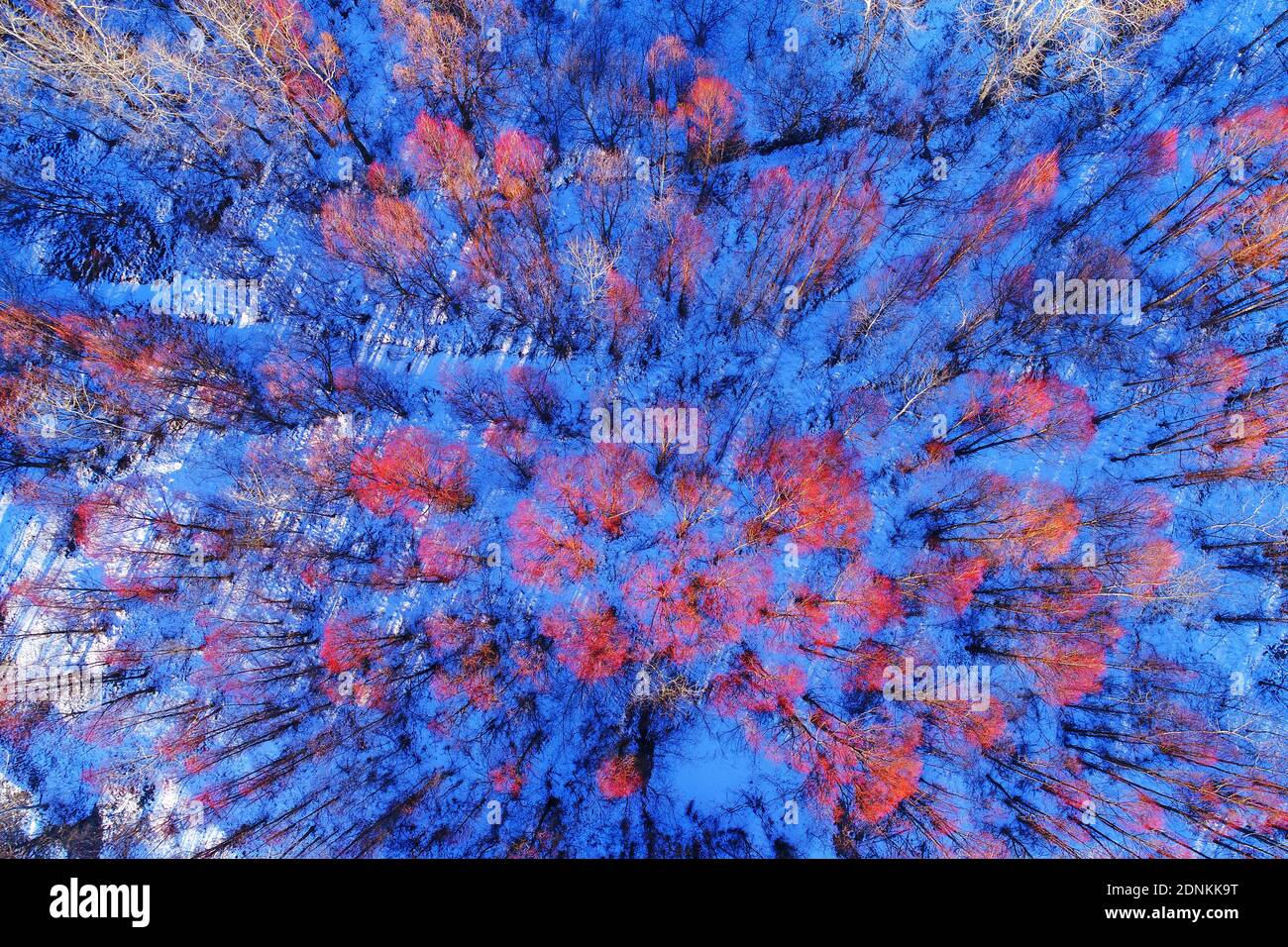 Aerial snow Philippine Stock Photo Alamy