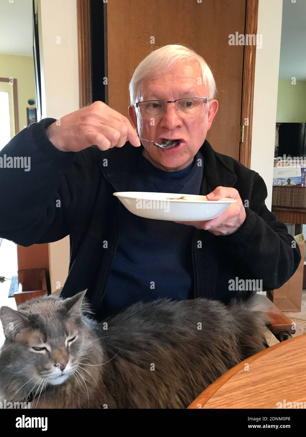 Senior cat eating hires stock photography and images Alamy