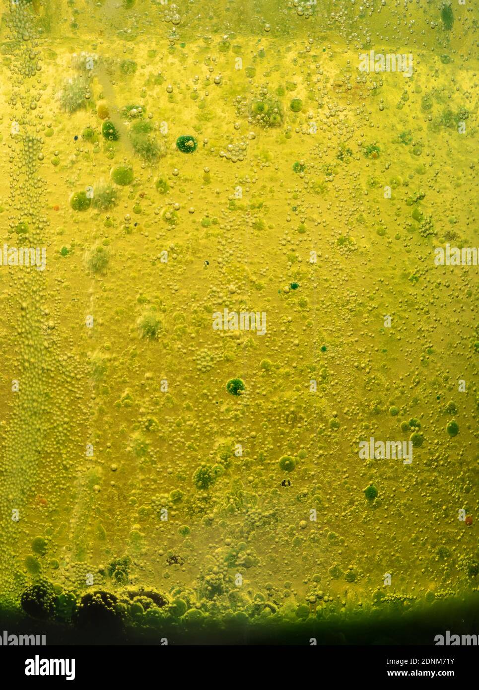 Brightly coloured abstract with bubbles caused by a chemical reaction Stock Photo Alamy