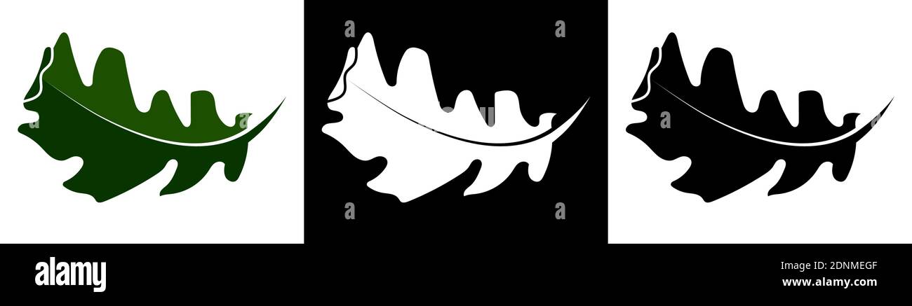 Oak leaf abstract. Oak grove, natural natural materials. Vector in ...