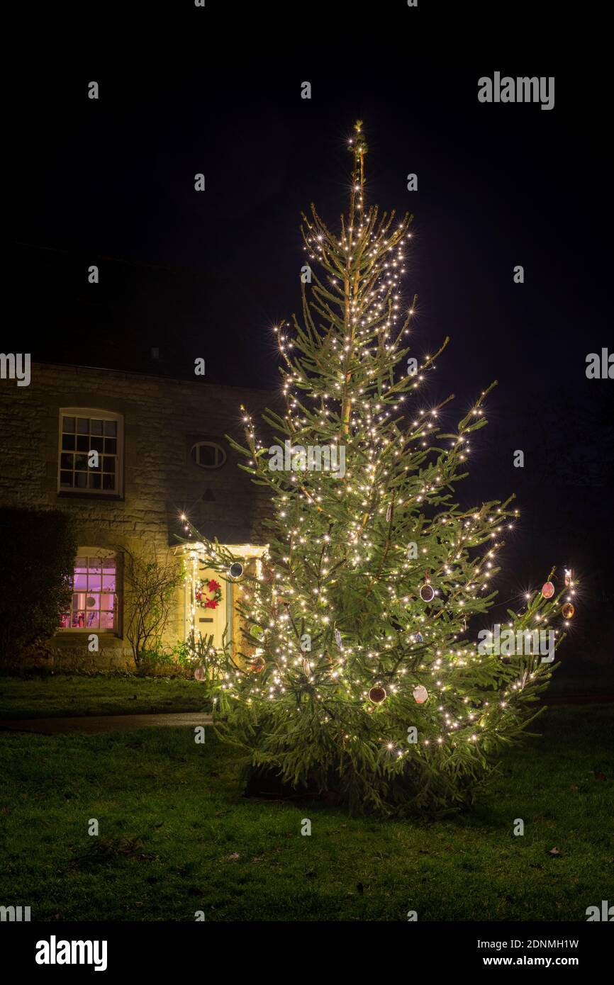 Christmas tree in front of a Cotswold stone cottage with Christmas