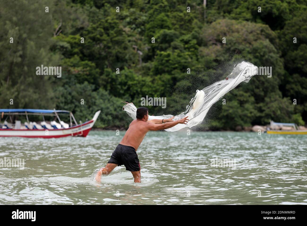 Fisher man throwing fishing net for catching fish for food Stock
