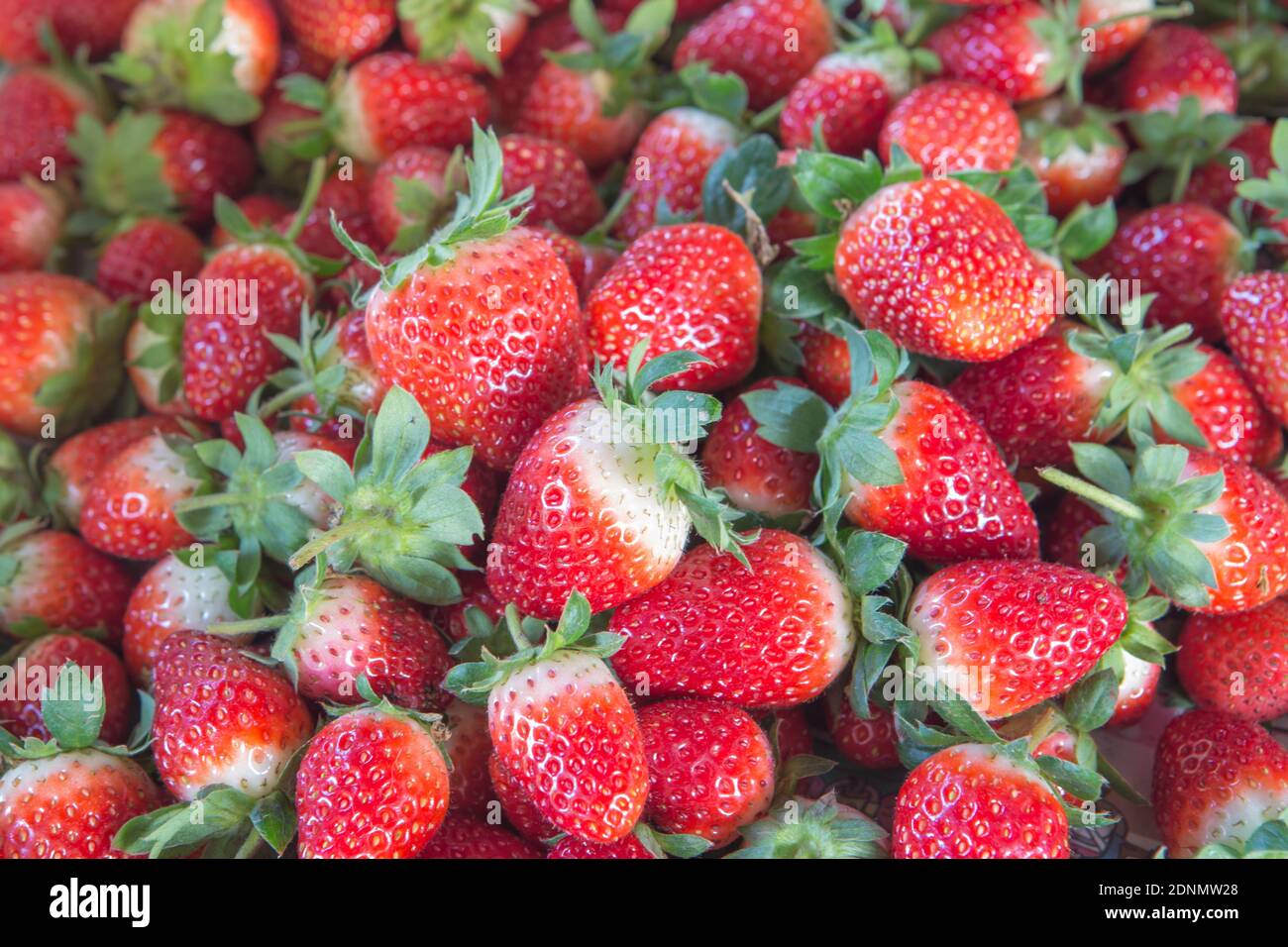 Full frame small strawberries hi-res stock photography and images - Alamy