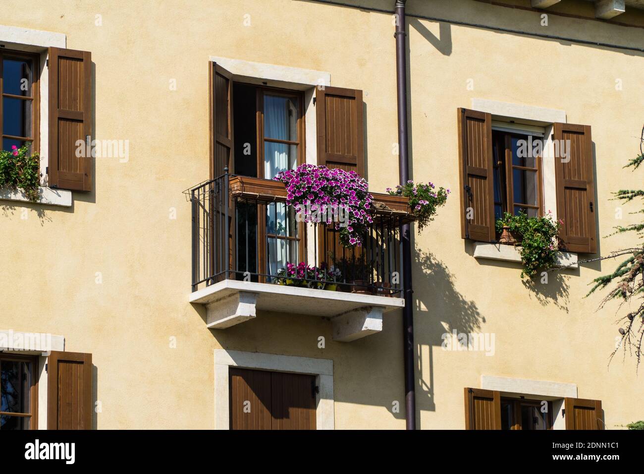 Potted Plants On Balcony Of Building Stock Photo Alamy