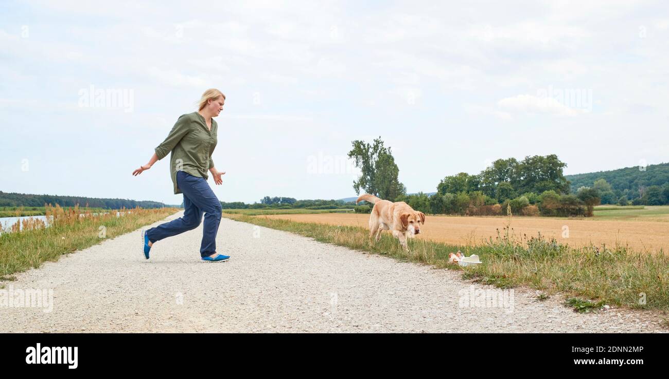 How To Keep Dog From Eating Trash On Walks