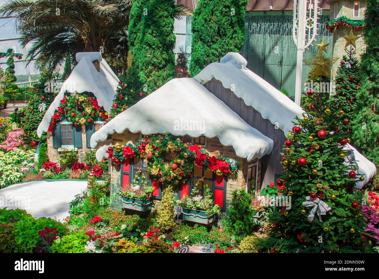 The beautiful Christmas decoration in flower dome of garden by the bay