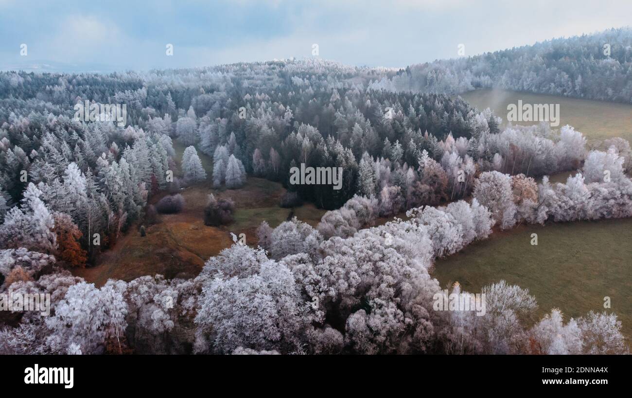 Winter forest landscape view from above.Frosty forest aerial drone view.Idyllic nature scenery from a bird eye view.Top view trees.Holiday freedom Stock Photo