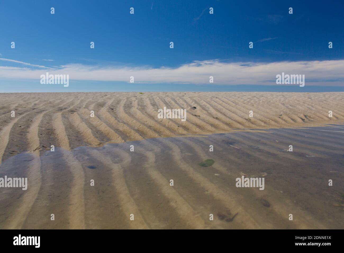 Ripple marks in tidal mudflats with raising water. Wadden Sea National ...