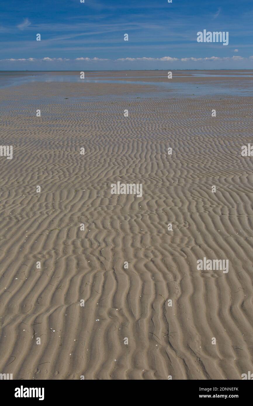 Ripple marks in tidal mudflats. Wadden Sea National Park, Schleswig ...