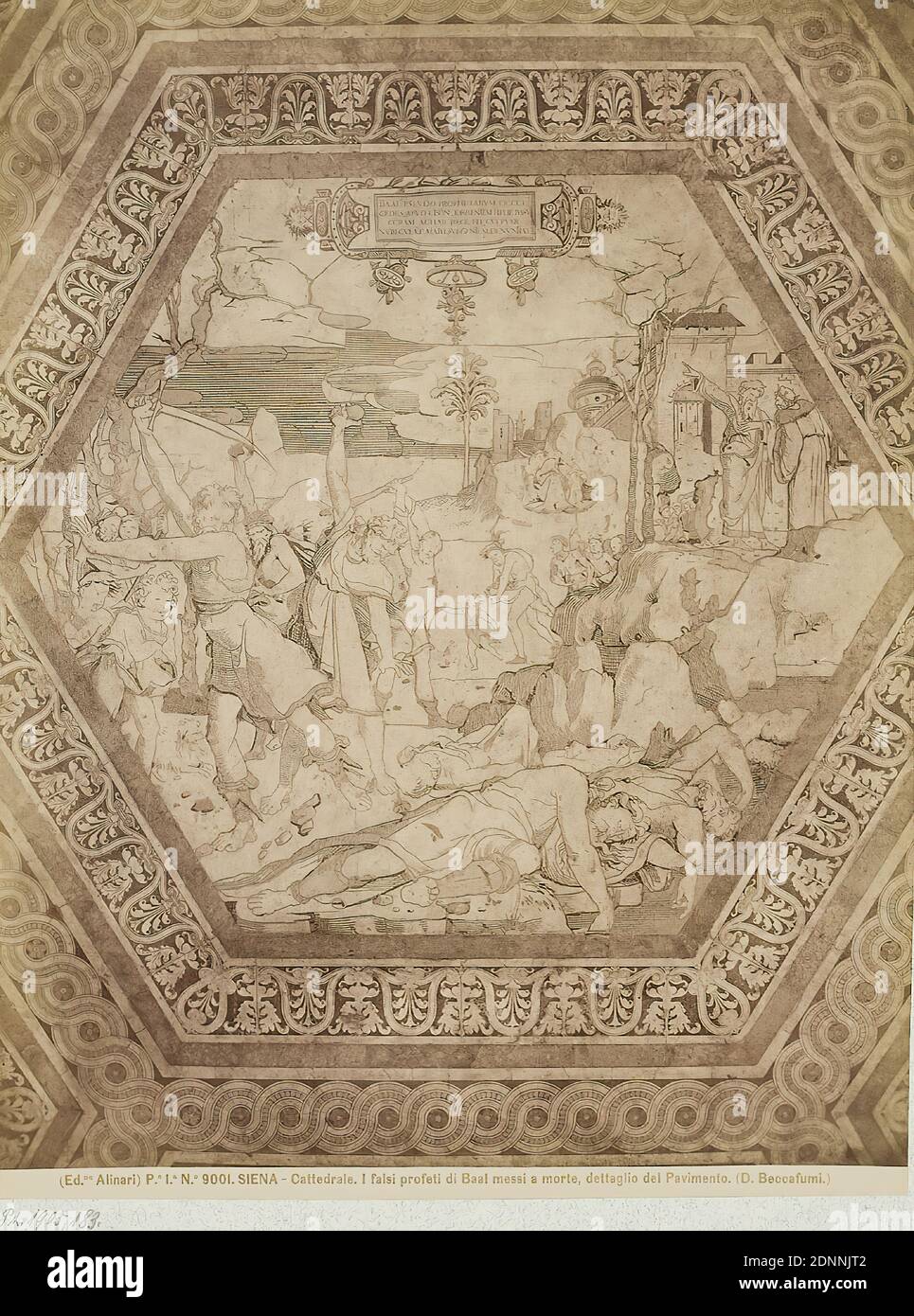 Domenico Beccafumi: The false prophets of Baal, detail of the floor in the Cathedral of Siena, albumin paper, black and white positive process, image size: height: 25,50 cm; width: 19,20 cm, SIENA - Cattedrale. I falsi profeti di Baal messi a morte, dettaglio del Pavimento. (D. Beccafumi.). Verso Stamp: MUSEUM F. ART & CRAFT Hamburg, Elias challenges the priests of Baal, end of dryness, floor (architecture), art Stock Photo