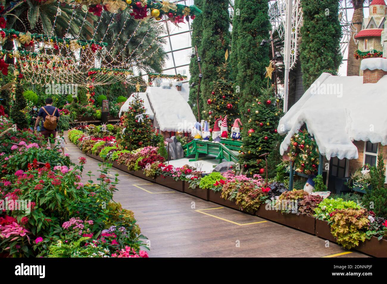 The beautiful Christmas decoration in flower dome of garden by the bay