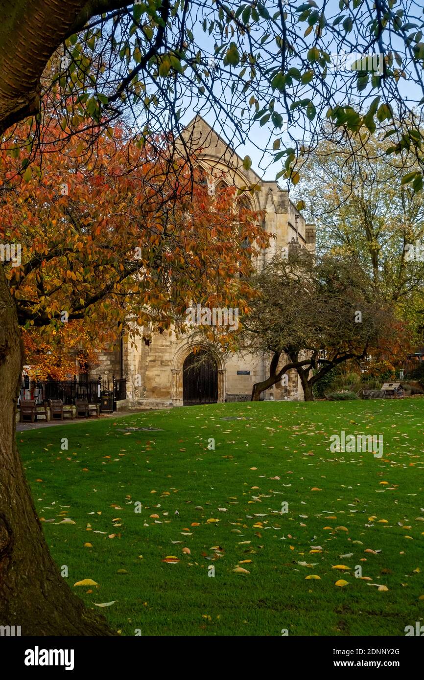 Dean’s Park and Minster Library in autumn York North Yorkshire England UK United Kingdom GB Great Britain Stock Photo