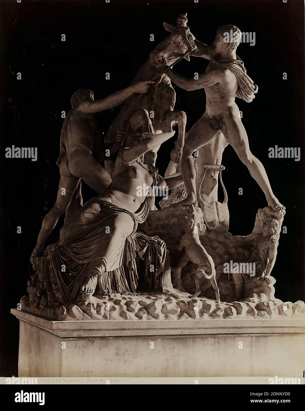 Giorgio Sommer, Museo di Napoli - Toro Farnese, albumin paper, black and white positive process, image size: height: 25.80 cm; width: 20.60 cm, inscribed: recto u. exposed: 1501 MUSEO DI NAPOLI Toro Farnese Sommer - Napoli, inventory, sculpture, plastic, sculpture art, classical mythology/antique history Stock Photo