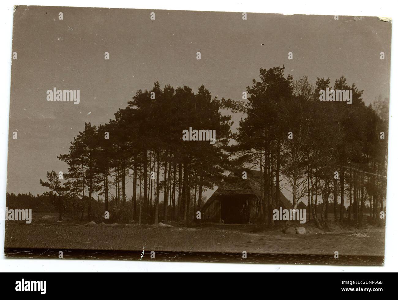 Heinrich Hamann, Atelier J. Hamann, Johann Hinrich W. Hamann, Barn in a group of trees, silver gelatine paper, black and white positive process, Total: Height: 5.20 cm; Width: 7.90 cm, Reporting photography, trees, shrubs, barn Stock Photo