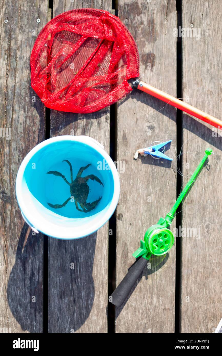 Crab fishing children summer hi-res stock photography and images - Alamy