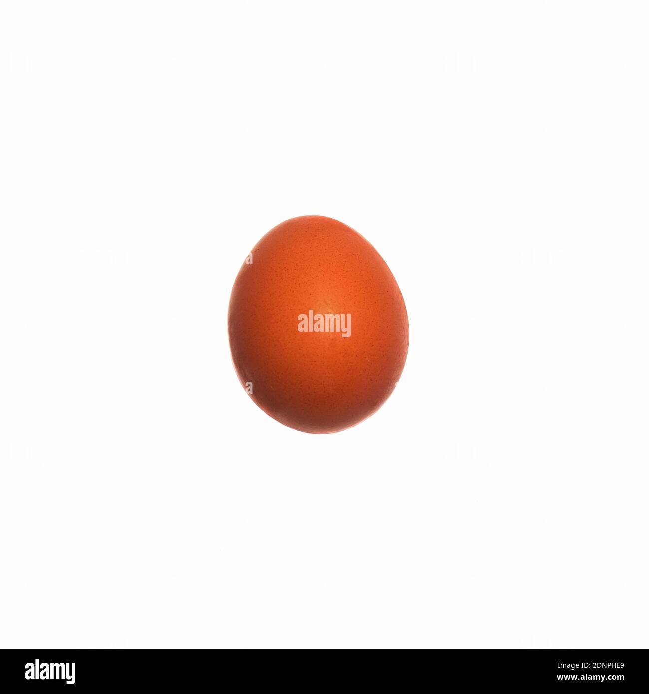 Chicken egg isolated on white background Stock Photo - Alamy
