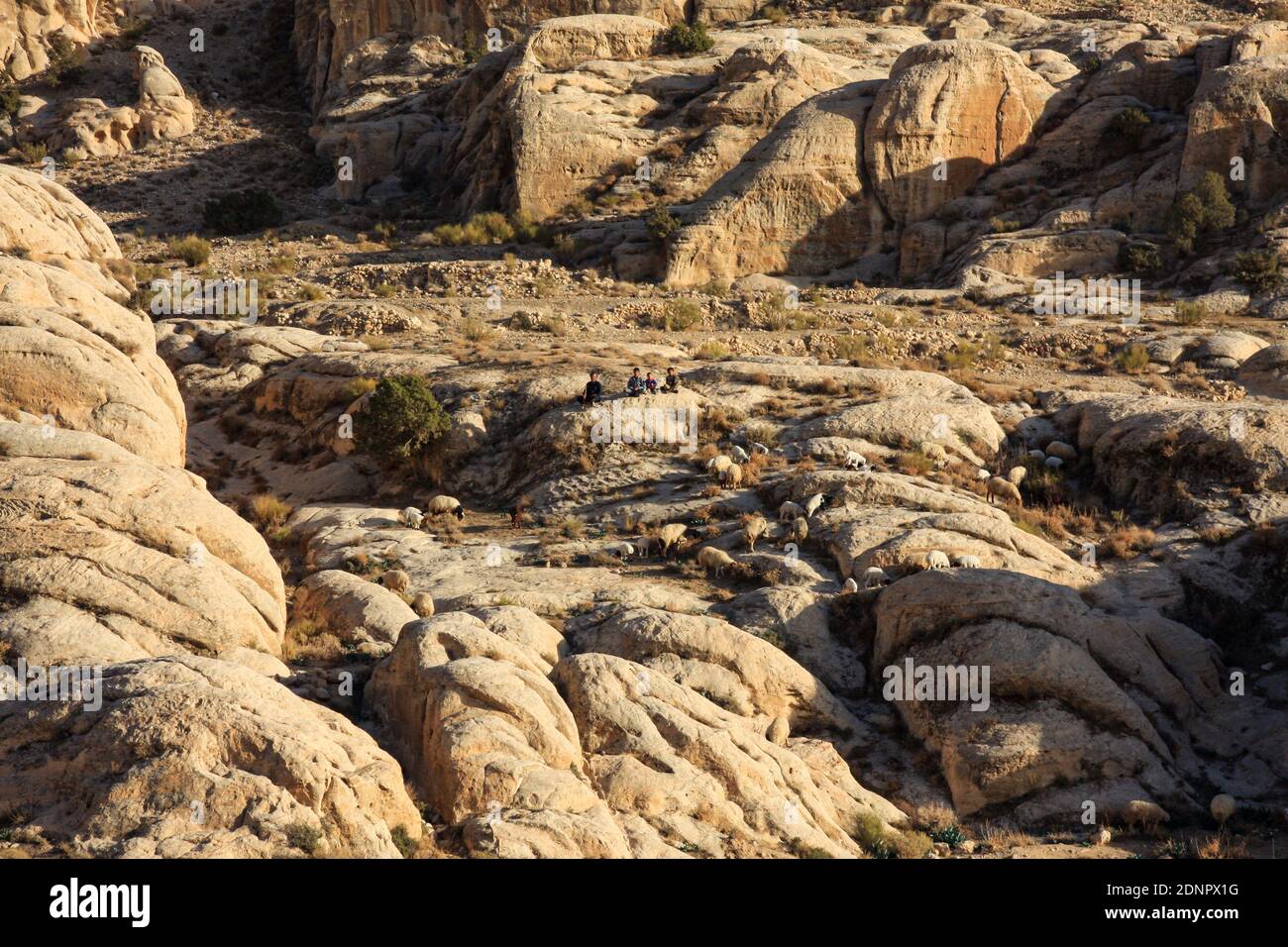 The Landscape and desert in Jordan Stock Photo - Alamy