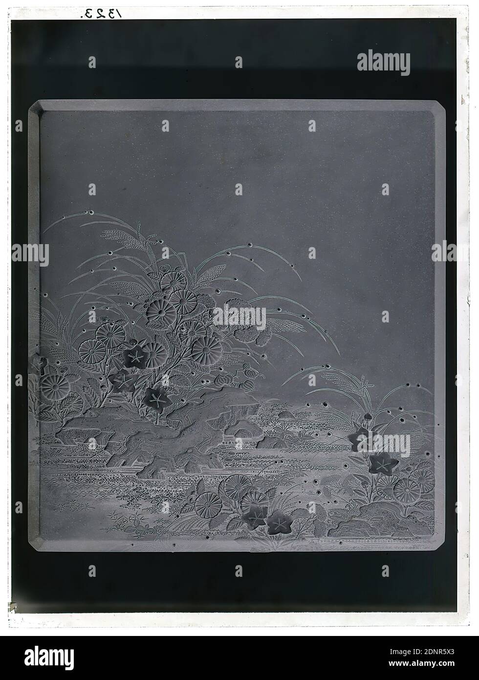 Wilhelm Weimar, Japanese lacquer work, glass negative, black and white negative process, total: height: 23.8 cm; width: 17.8 cm, numbered: top left : in black ink: 1323, photography, flower ornaments, trees, shrubs, work of applied art (lacquer Stock Photo