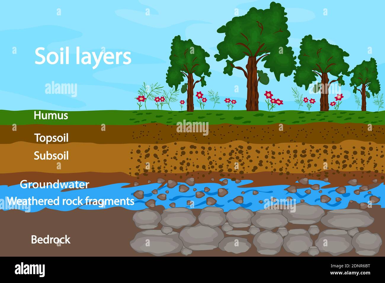 Soil layers. Diagram for layer of soil. Soil scheme with grass, dirt, groundwater and stones. Cross section of underground soil layers beneath. Vector Stock Vector