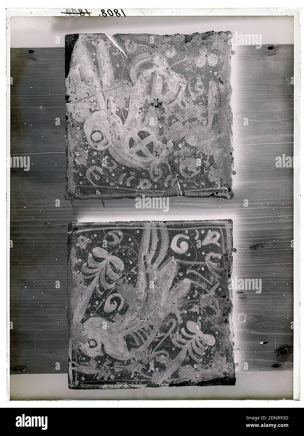 Wilhelm Weimar, Two Valencia Tiles, glass negative, black and white negative process, total: height: 23.8 cm; width: 17.8 cm, numbered: top left: in black ink: 1808. works of applied art (ceramics), ornaments, animals as ornaments, plant ornaments, birds, tiles, tiles, bricks (building materials), interior decoration (of a house Stock Photo