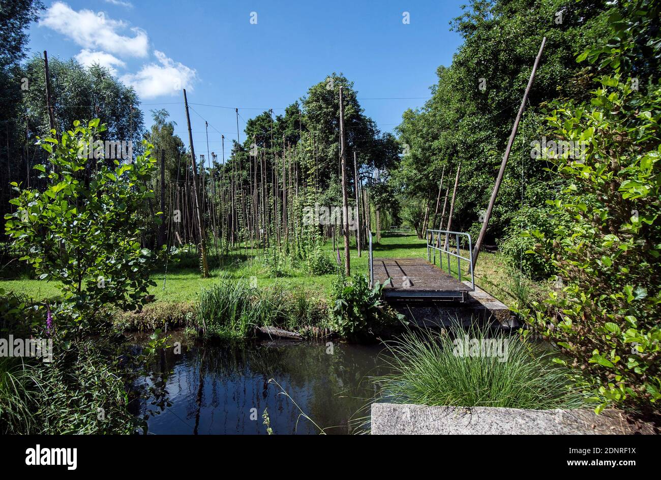 Amiens (northern France) the floating gardens (French “hortillonnages