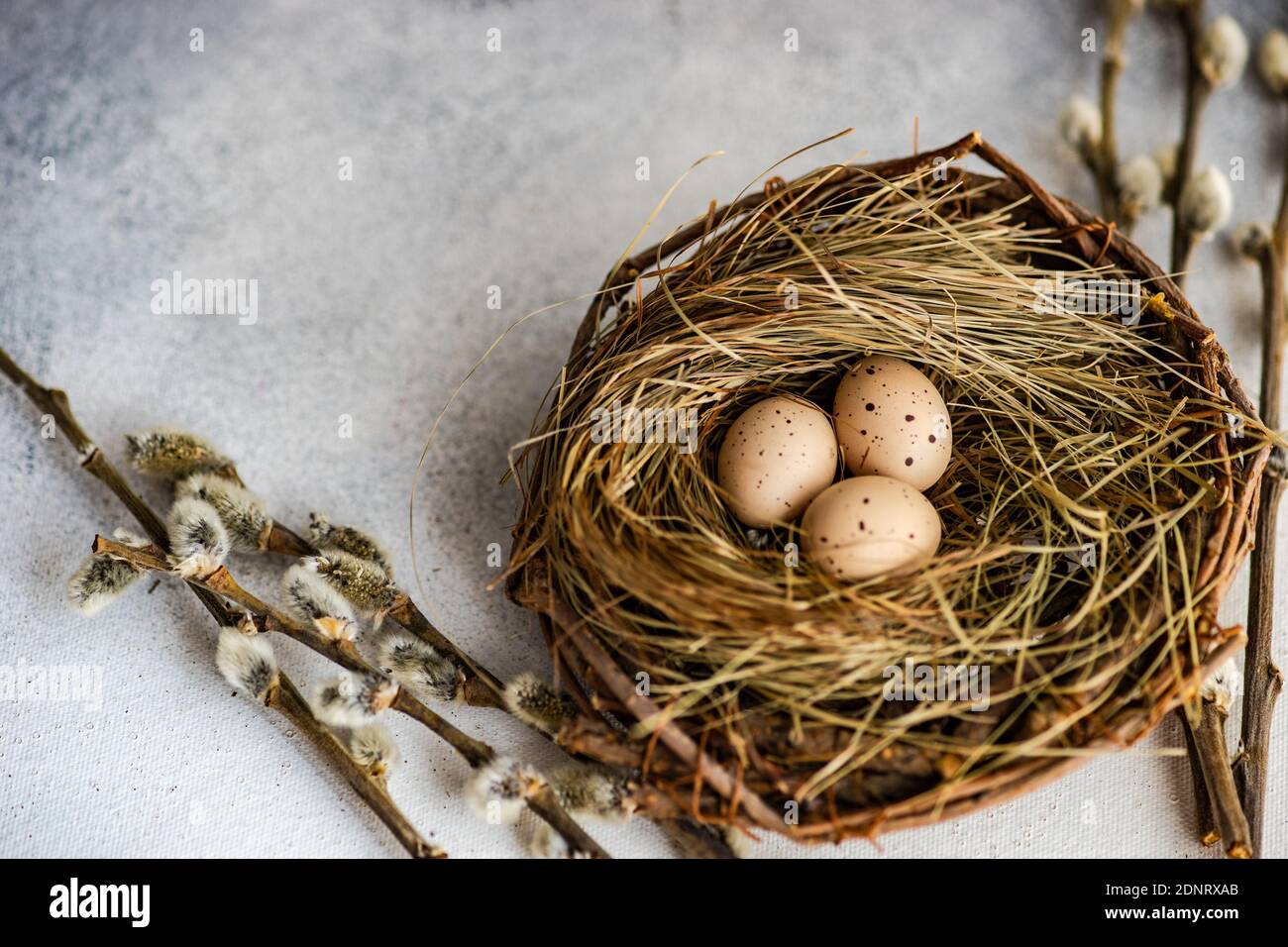 Easter egg's in a bird's nest with pussy willow branches Stock Photo ...