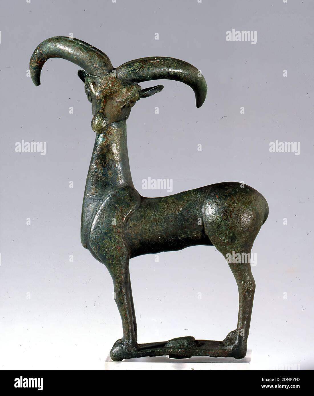 Statuette of a mouflon, property of the Stiftung Hamburger Kunstsammlungen, bronze, cast, bronze, Total: Height: 15.3 cm; Width: 6.2 cm; Depth: 2.4 cm, small sculptures, sheep, antique, The animal stands on a flat, square base in a calm, frontal posture with its head turned to the side. Its powerful horns form an effective contrast to the delicate ears. The animal's broad forehead, its large, attentive eyes as well as its slender muzzle, modelled with great sensitivity, are striking. Compared with the head, the body appears strongly simplified. Stock Photo